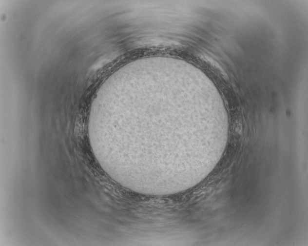 X0000088580869200706151709