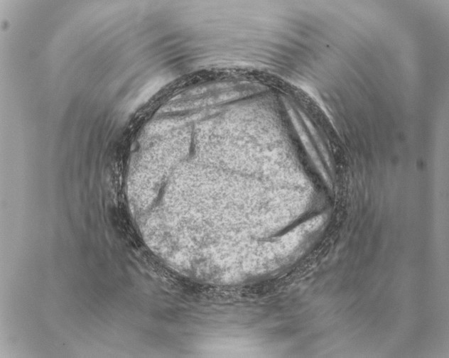 X0000088580871200706151709