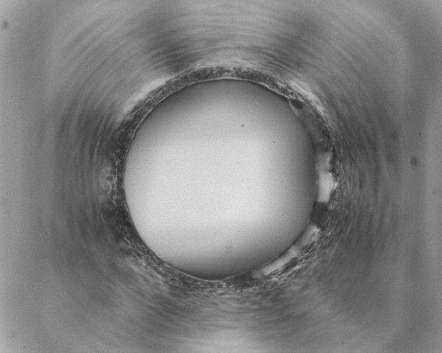 X0000088580872200706151709