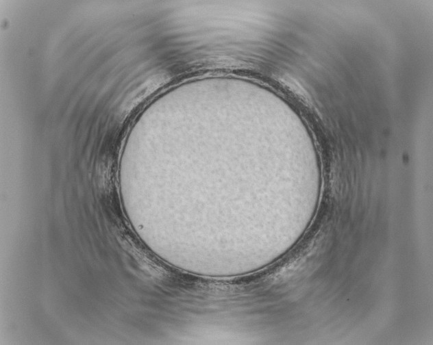 X0000088580873200706151709