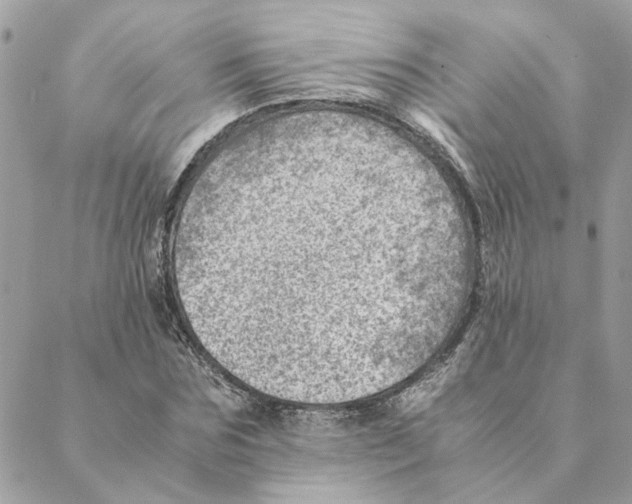 X0000088580875200706151709