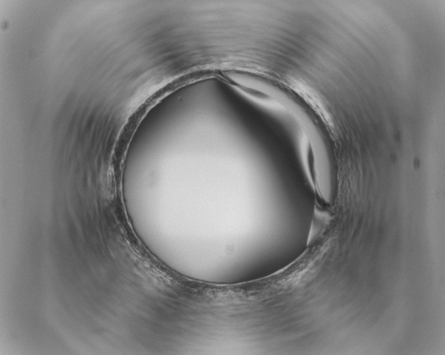 X0000088580876200706151709