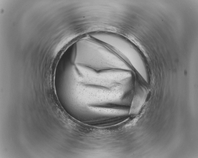 X0000088580877200706151709