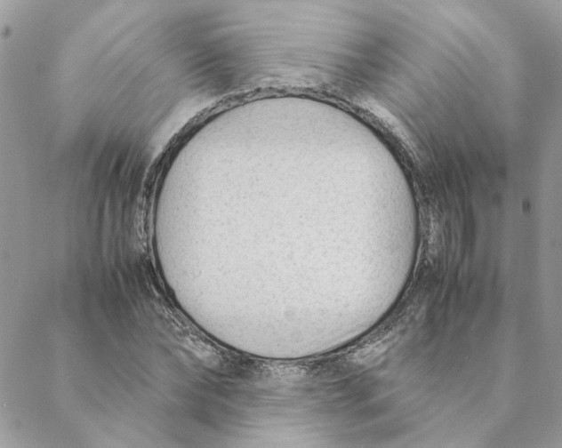 X0000088580878200706151709