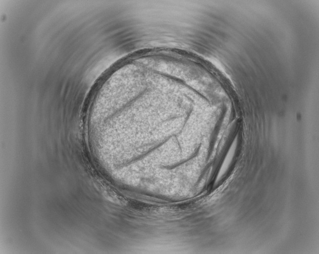 X0000088580879200706151709