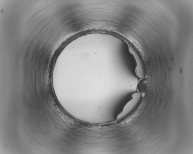 X0000088580880200706151709