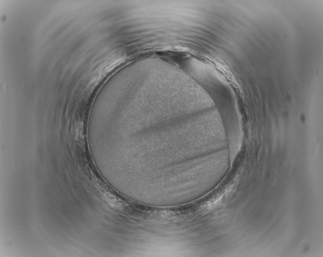 X0000088580881200706151709