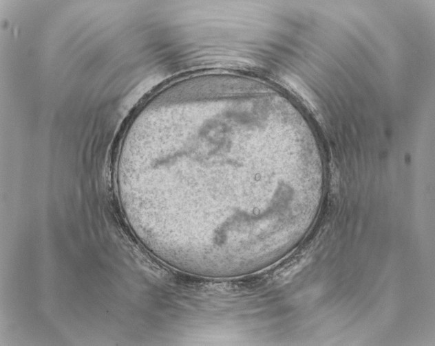 X0000088580883200706151709