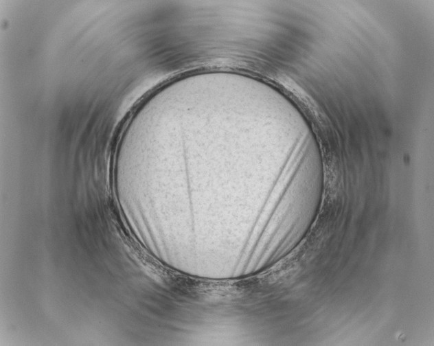 X0000088580886200706151709