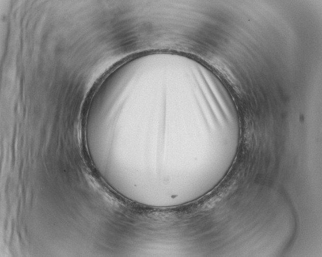 X0000088580888200706151708