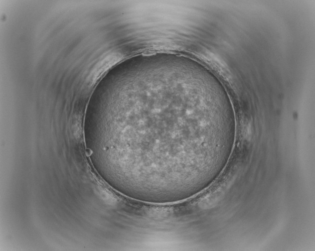 X0000088580889200706151708