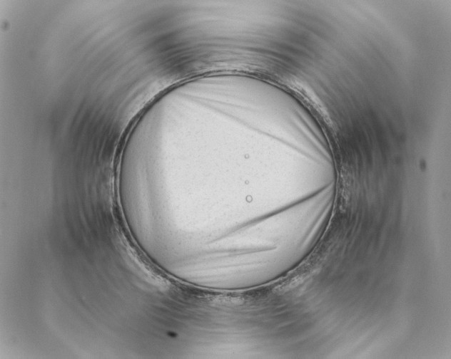 X0000088580890200706151708