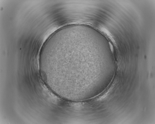 X0000088580892200706151708