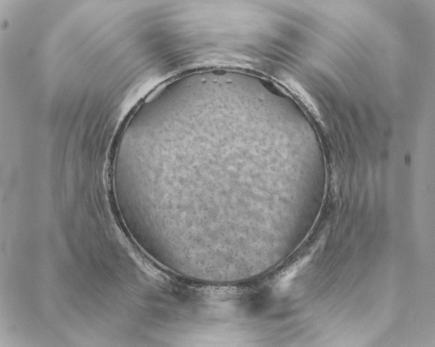 X0000088580893200706151708