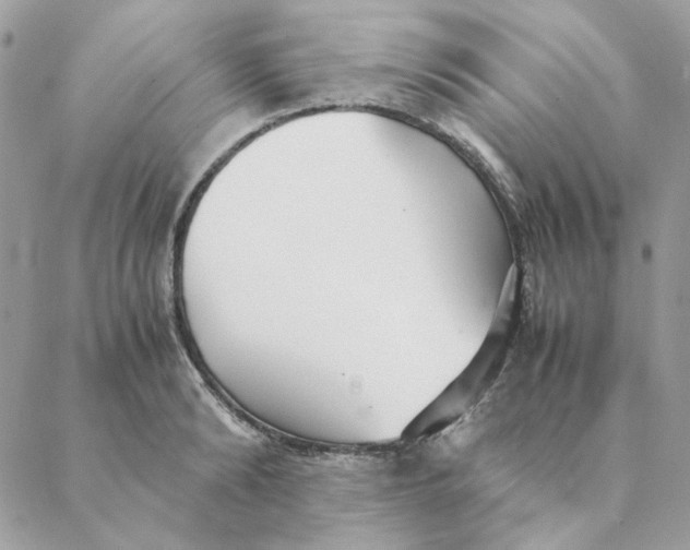 X0000088580894200706151708