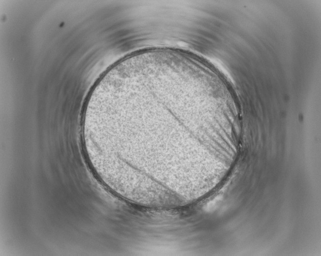 X0000088580895200706151708