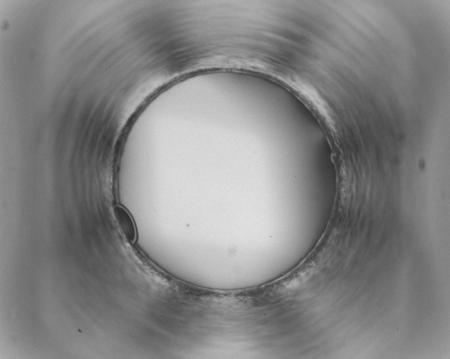 X0000088580896200706151708