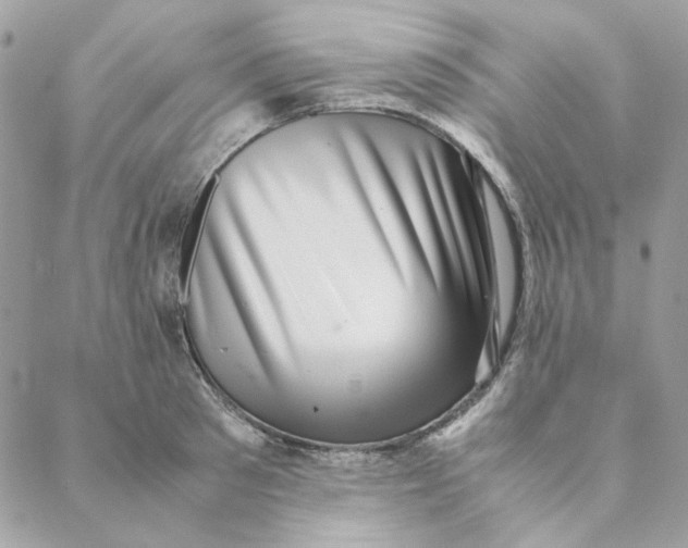 X0000088580897200706151708