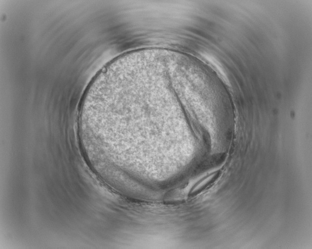 X0000088580899200706151708