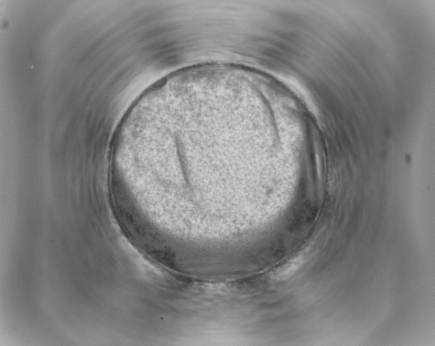 X0000088580903200706151708