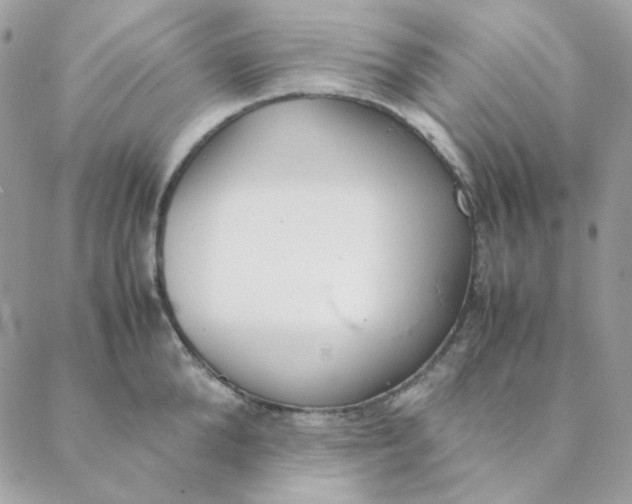 X0000088580904200706151708