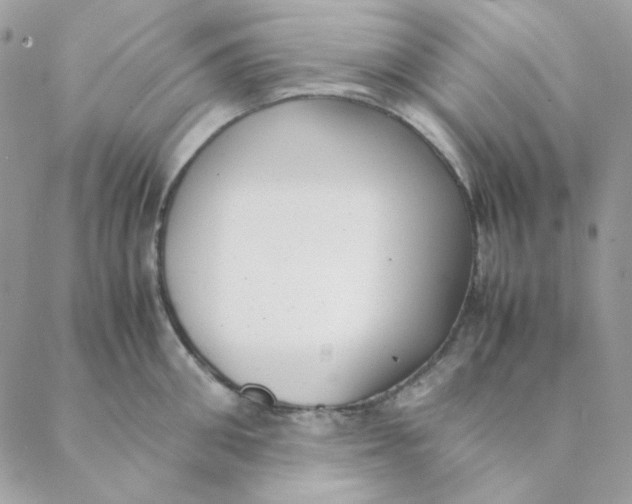 X0000088580906200706151708