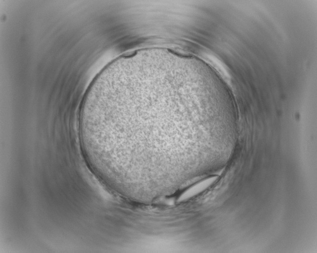 X0000088580907200706151708