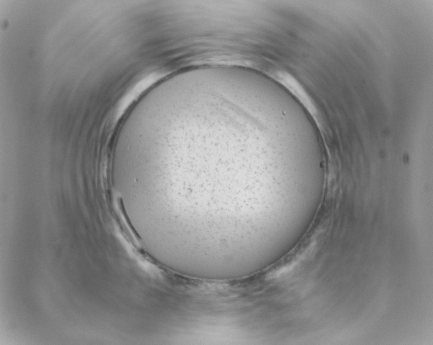 X0000088580909200706151708