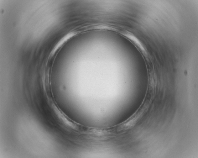 X0000088580910200706151708