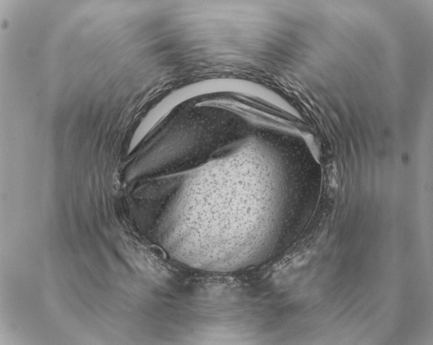 X0000088580916200706151707