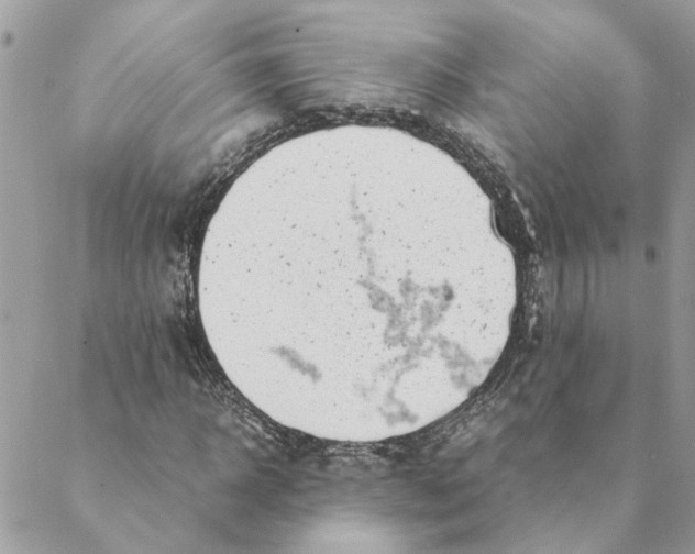 X0000088580918200706151707