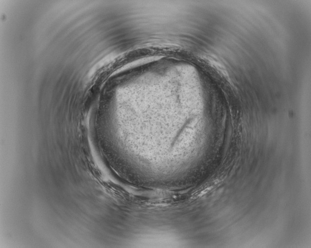 X0000088580920200706151707