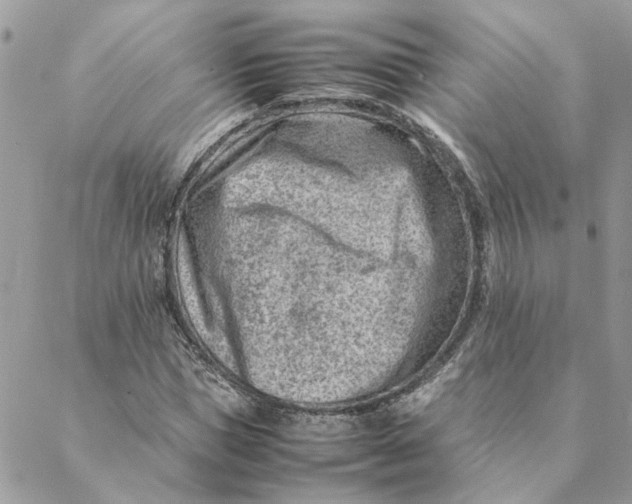 X0000088580921200706151707