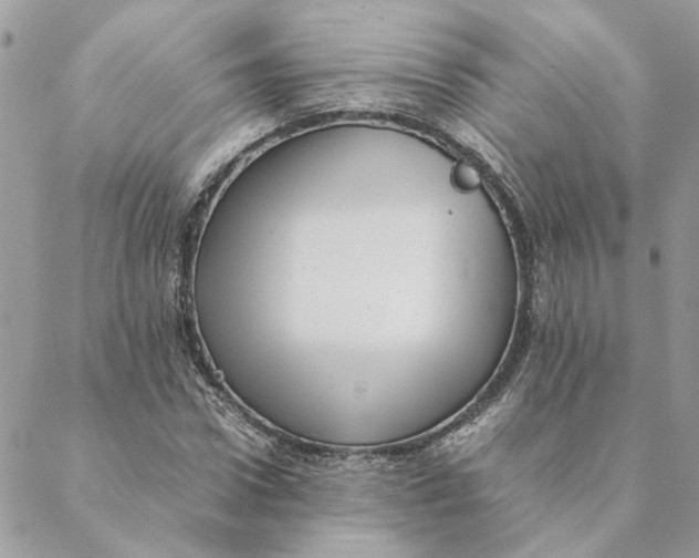 X0000088580922200706151707