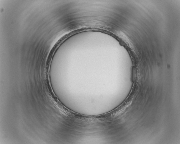 X0000088580924200706151708