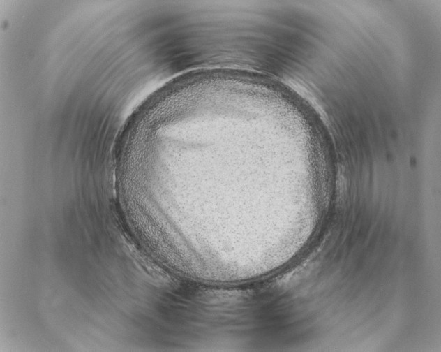 X0000088580925200706151708