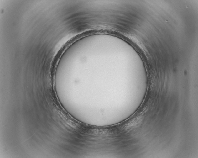 X0000088580927200706151708