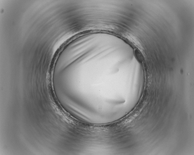 X0000088580928200706151708