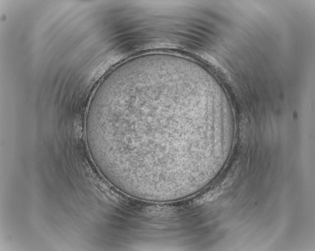 X0000088580929200706151708