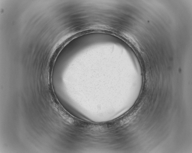 X0000088580931200706151708