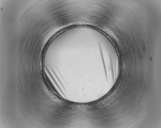 X0000088580934200706151708