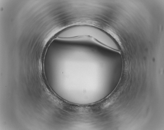 X0000088580936200706151708