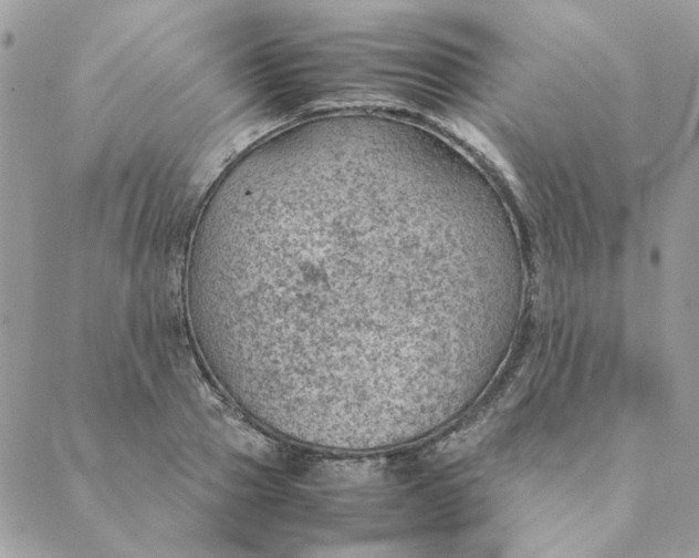 X0000088580937200706151708