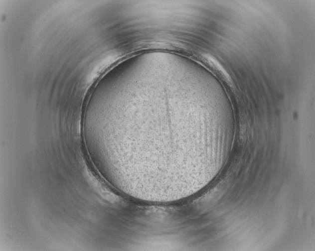 X0000088580938200706151708