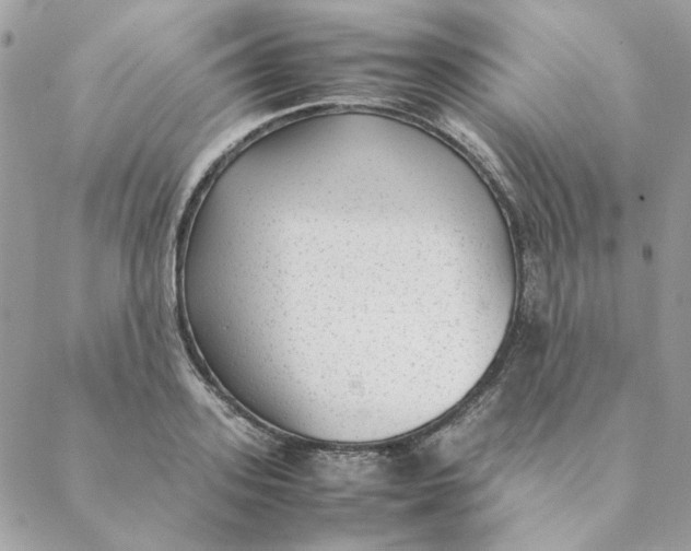 X0000088580939200706151708