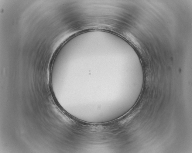 X0000088580940200706151708