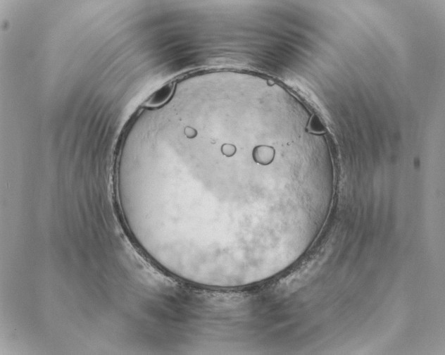 X0000088580941200706151708