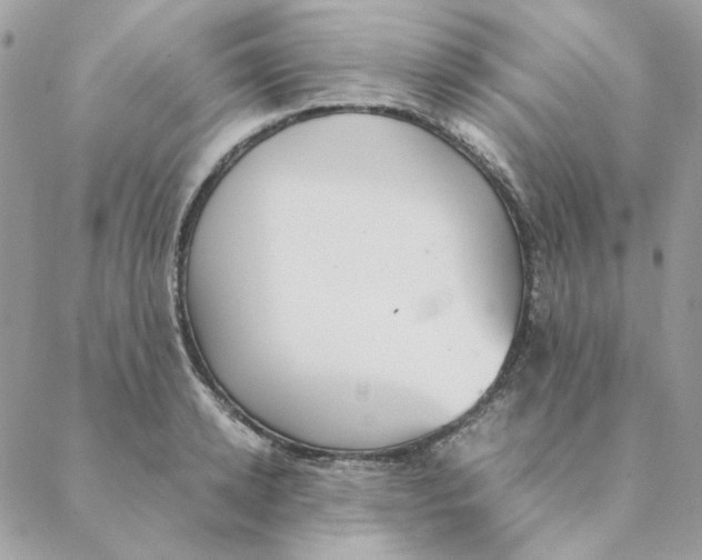 X0000088580942200706151708