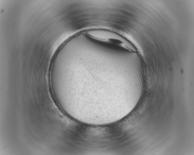 X0000088580943200706151708