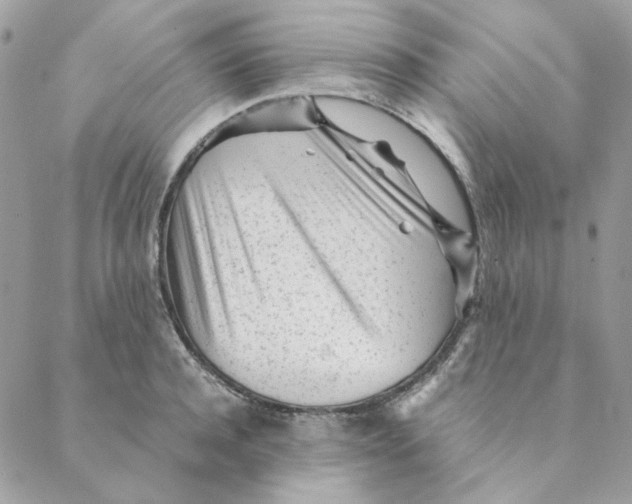 X0000088580944200706151708